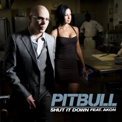 Pitbul ft  Akon   Shut It Down