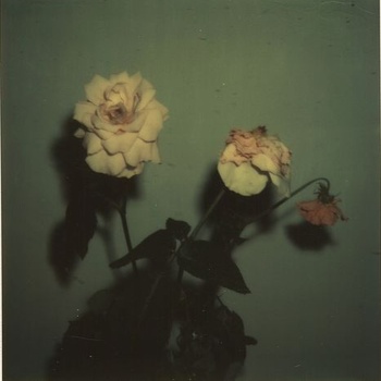 Blu & Exile – give me my flowers while i can smell them (Album Stream)