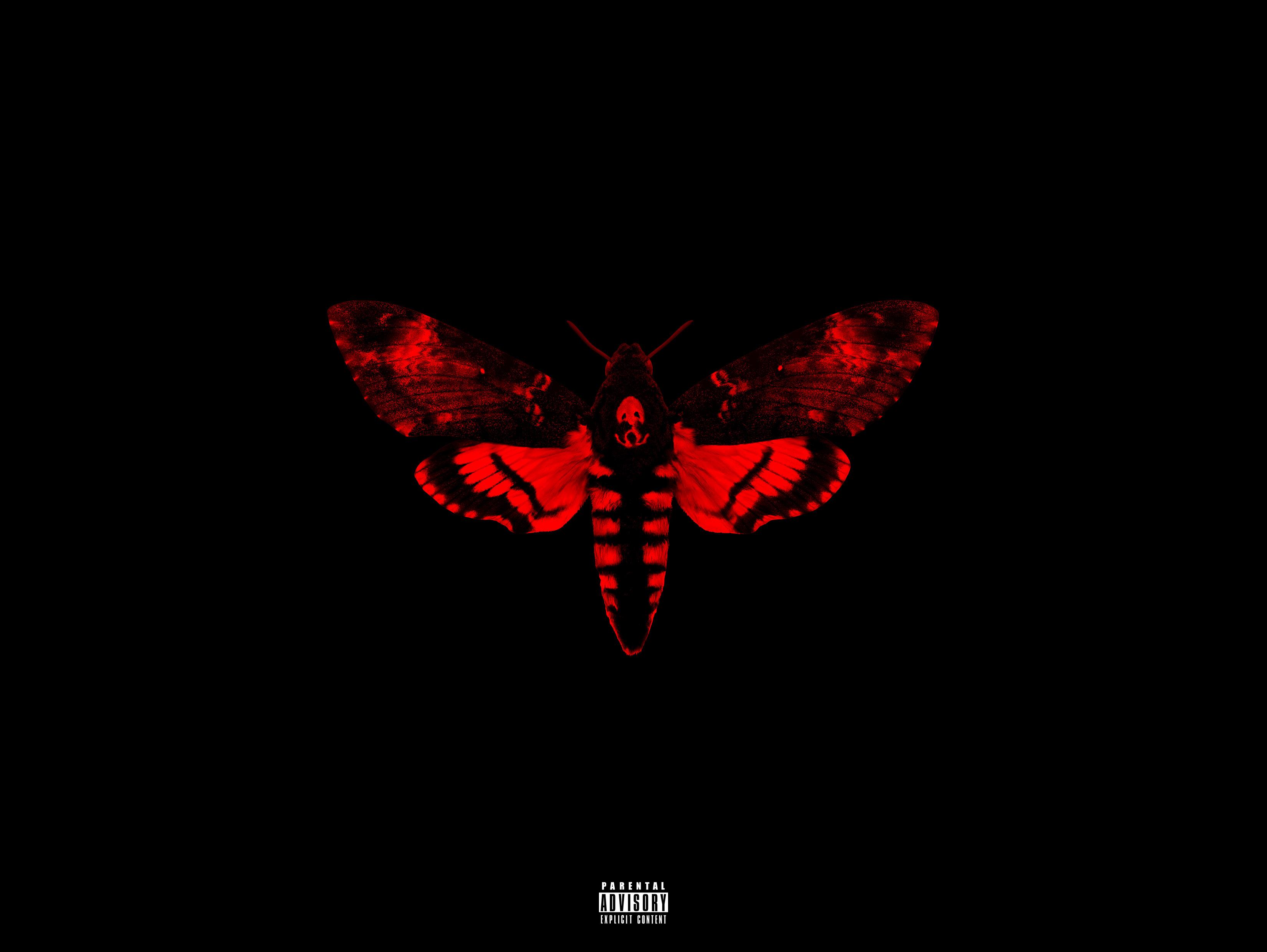Lil Wayne – I Am Not A Human Being II (Booklet & Production Credits ...