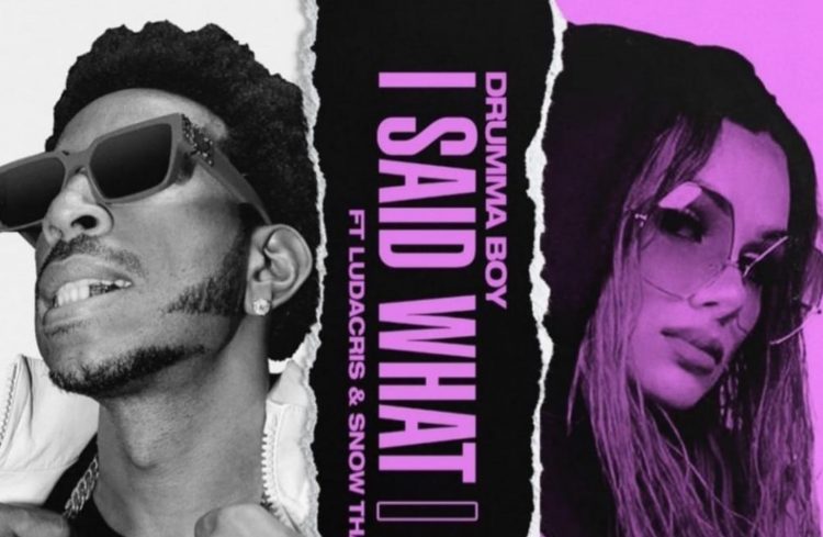Ludacris & Snow Tha Product Join Drumma Boy On ‘I Said What I Said’ — Listen