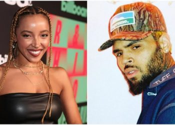 Chris Brown Disses Tinashe Over Past Collab Comments