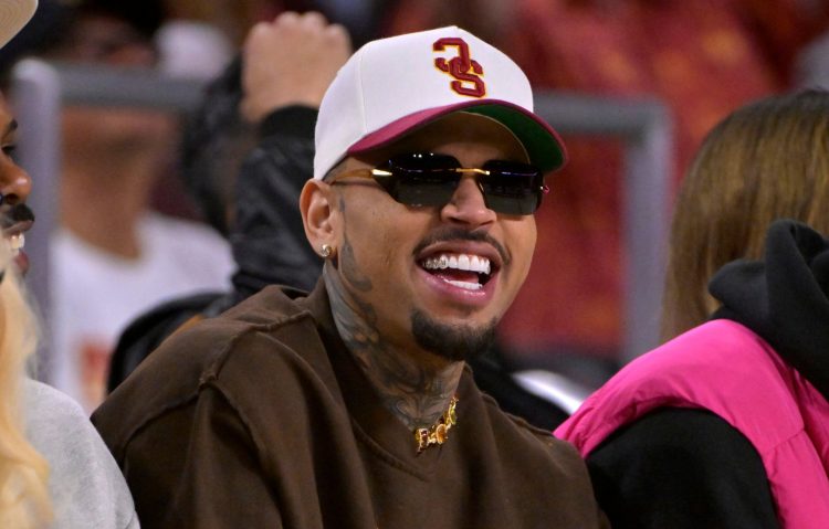 Chris Brown Releases New Album ‘BROWN’ Feat. Leon Thomas, GloRilla, NBA Youngboy & More: Listen